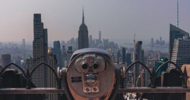 Building an Author Platform: My Insights