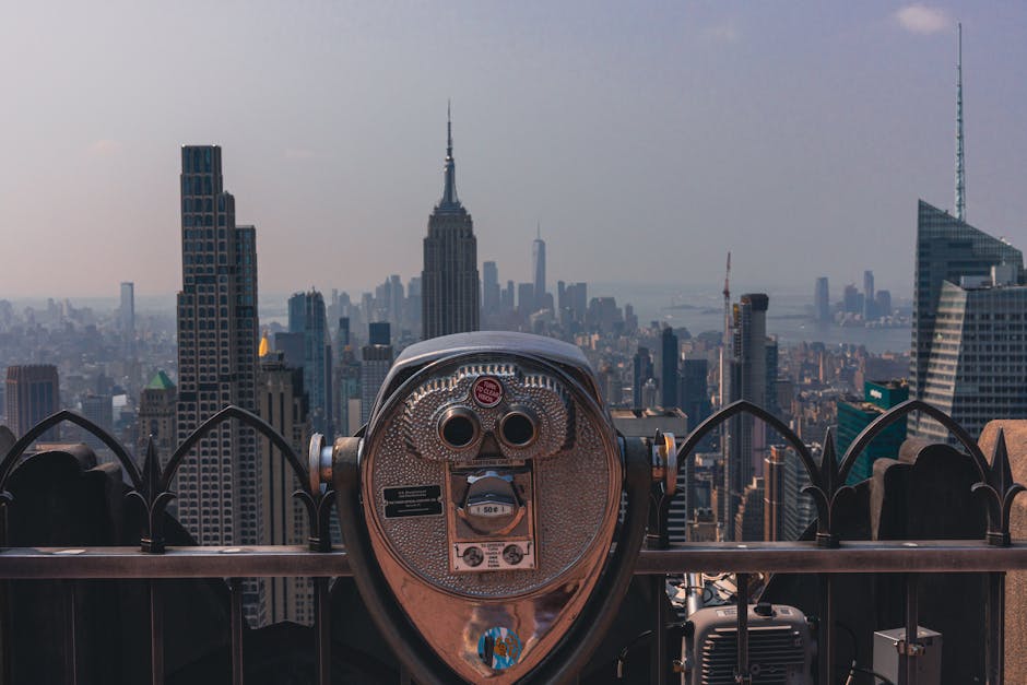 Building an Author Platform: My Insights