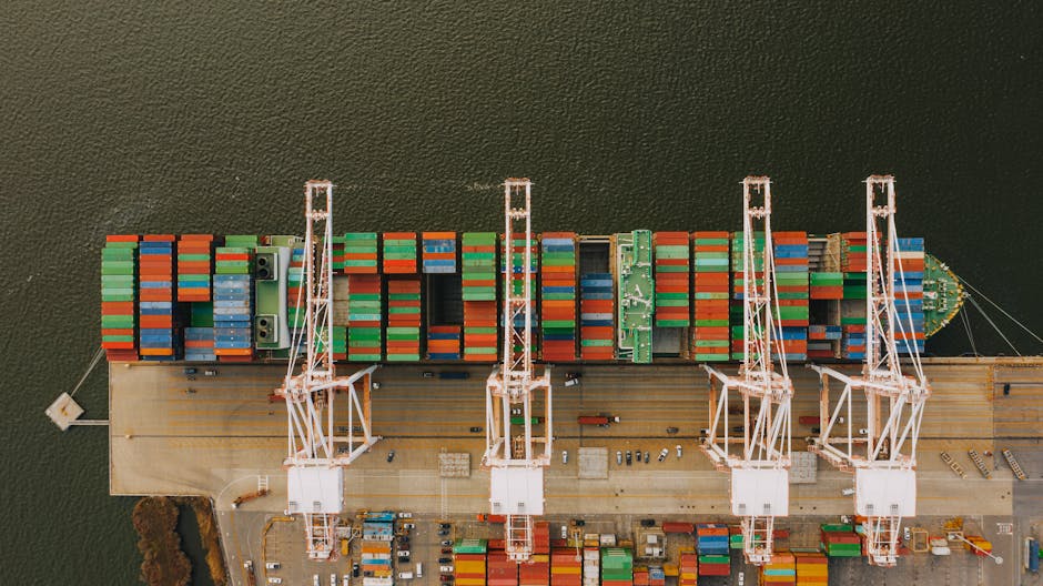 Navigating the Publishing Process Like a Pro